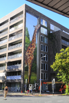 904861 Gezicht op de muurschildering Giraffe van Jan Heinsbroek (alias Jan is de Man) op het appartementencomplex op de ...